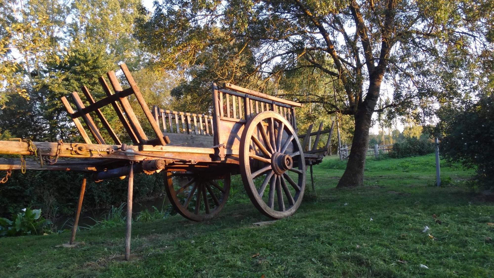 Le Moulin Bregeon Bed & Breakfast Linieres-Bouton Ngoại thất bức ảnh